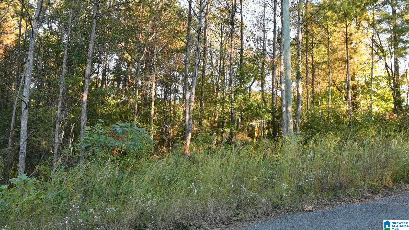 Property Photo:  Willowbrook Court Lot 22  AL 35049 