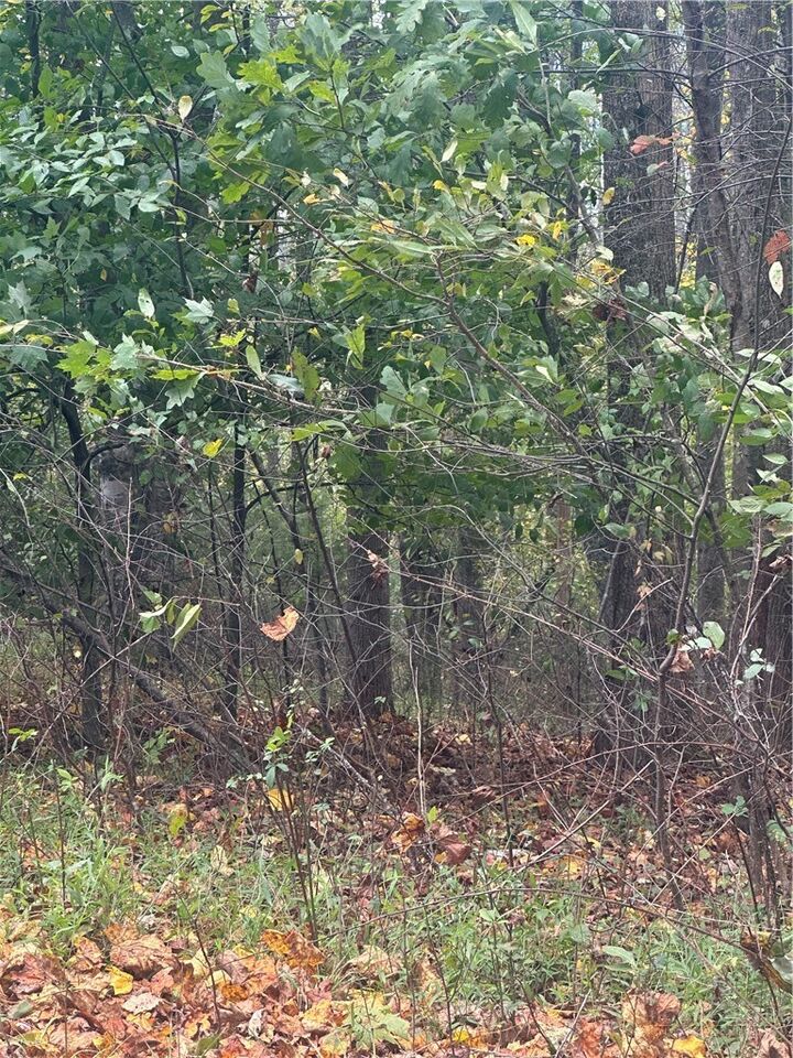 Property Photo:  Lot 120 Friar Court  NC 28659 