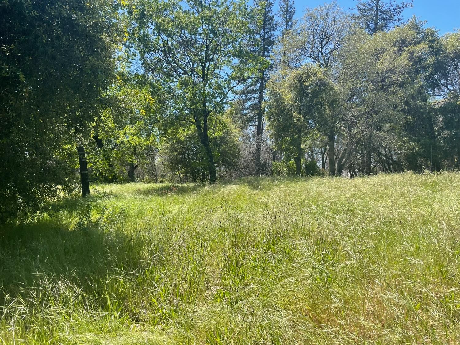 Property Photo: 0 Lumpkin CA 95966