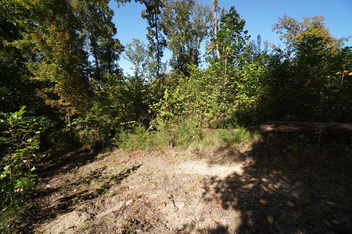 Property Photo: 0 Brotherton Rd TN 37760