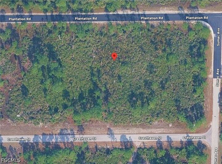 Property Photo:  1108 Plantation Road  FL 33974 