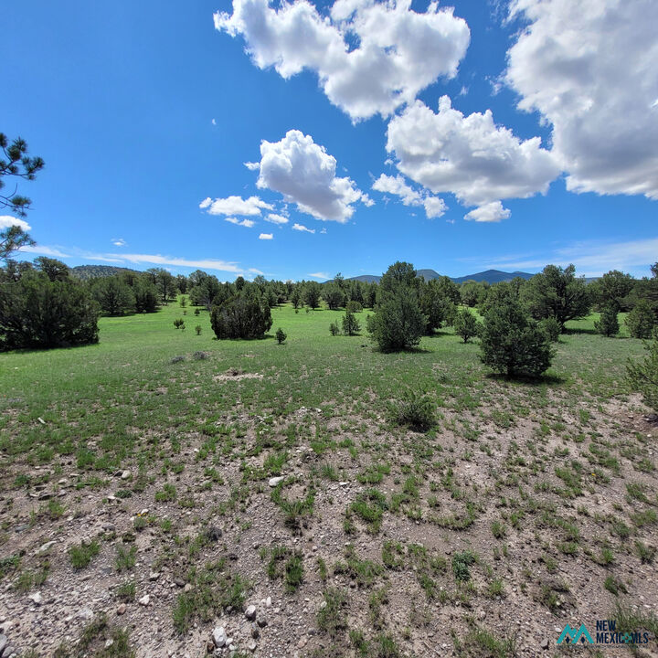 Property Photo: 18 Frontier Trail - Lot 18 Trl 18 NM 87821