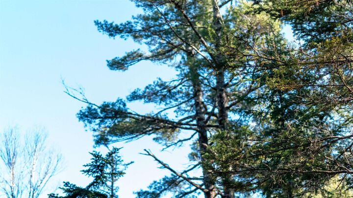 Property Photo:  Lot 13 Maple Drive Drive  NS B0T 1W0 