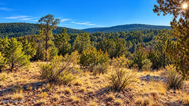 Property Photo: 51804 N Cordero Road AZ 86337