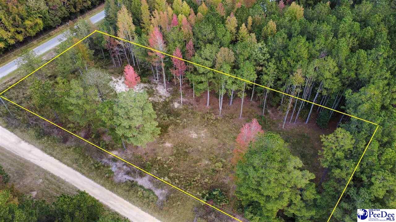 Property Photo:  Tbd Sherrill Rd.  SC 29596 