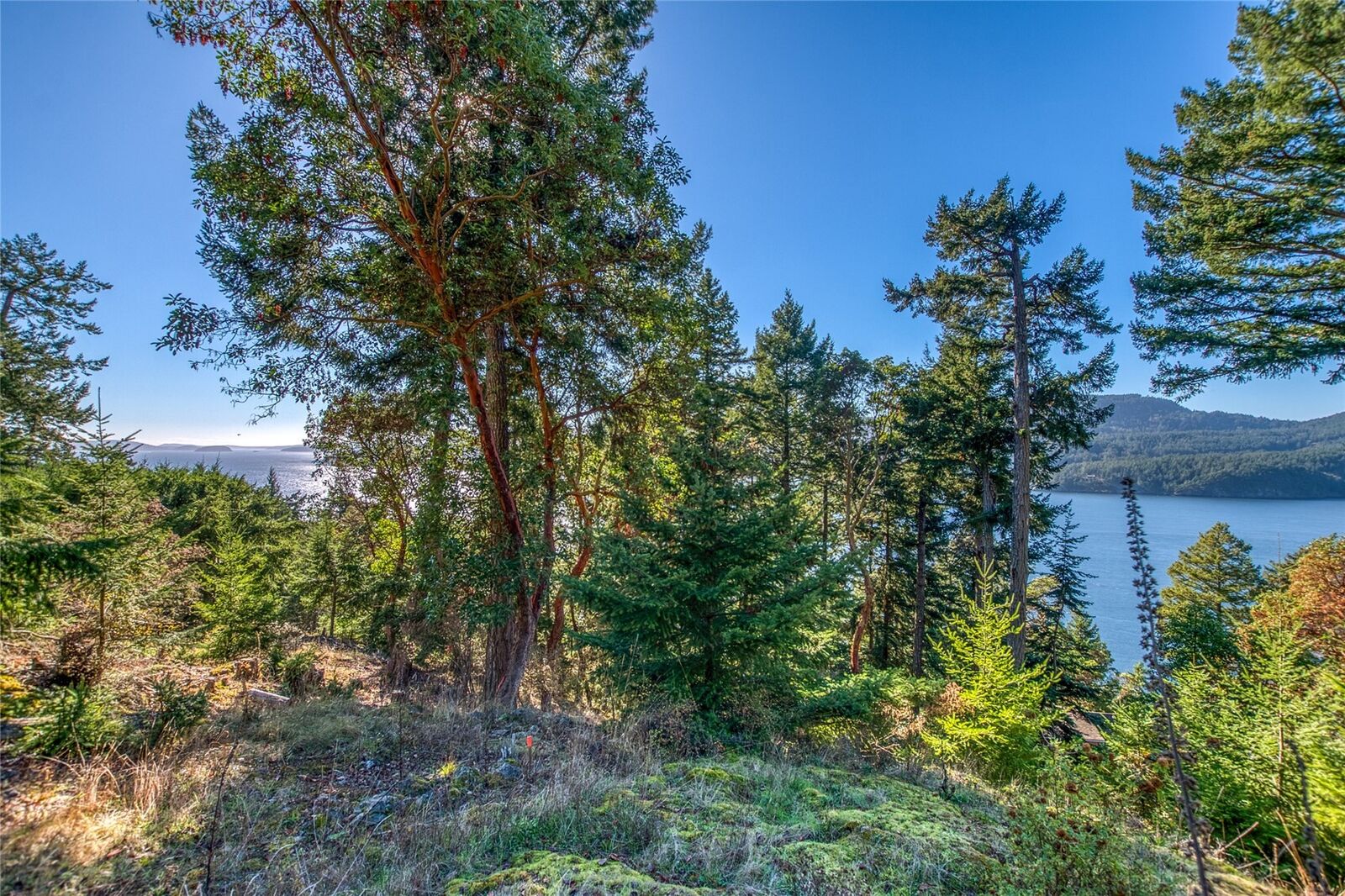 Property Photo: 980 Palisades Drive WA 98245