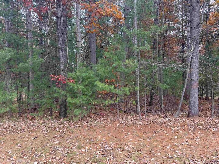 Property Photo: Hammond MI 49709