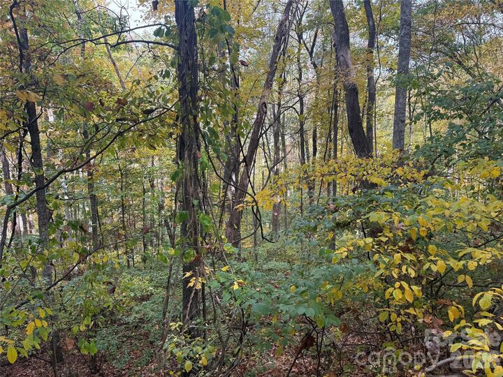 Property Photo:  999 Whispering Woods Path  NC 28754 