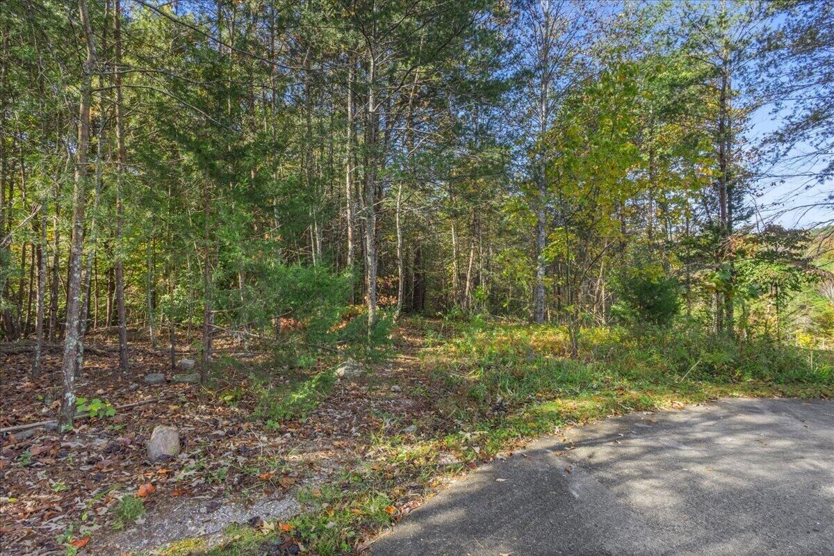 Property Photo: 415 Windy Ridge Drive TN 37321