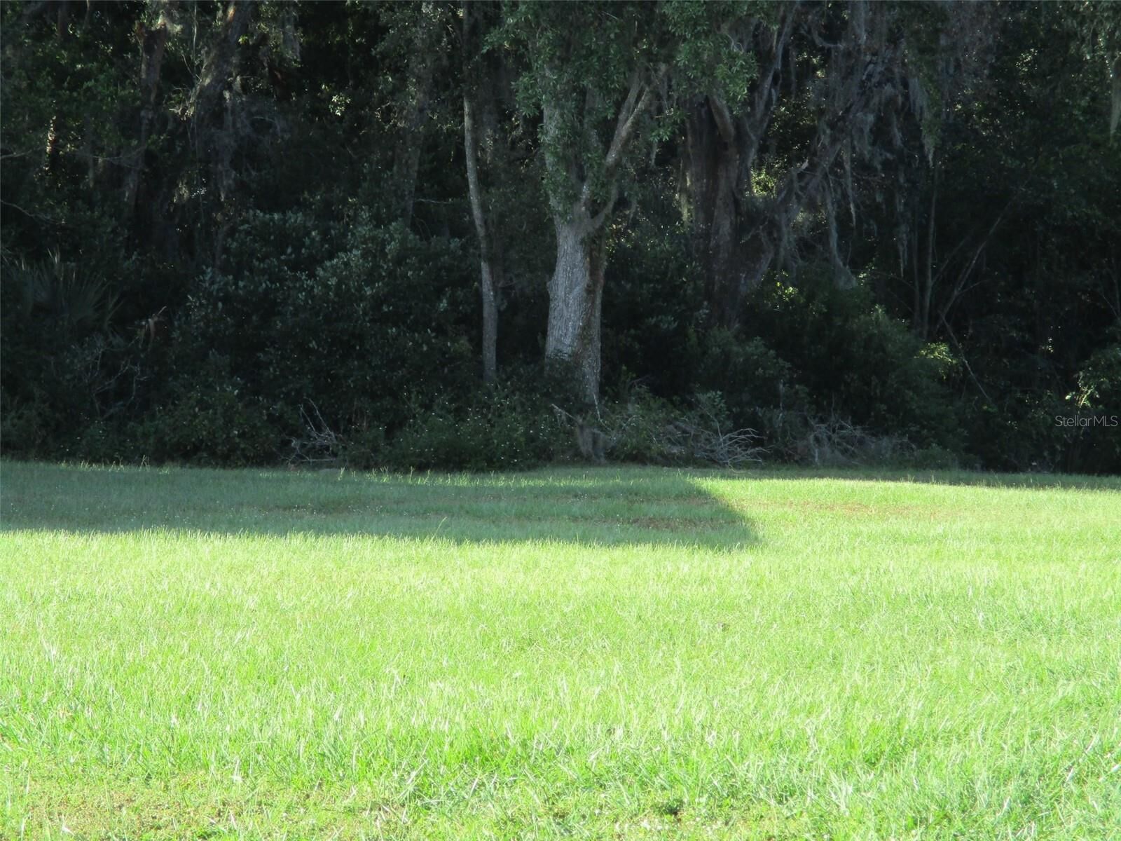 Property Photo:  Lot 2 Monet Drive  FL 33540 