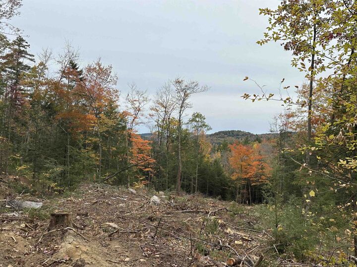 Property Photo:  00 Wild Meadow Road  NH 03240 