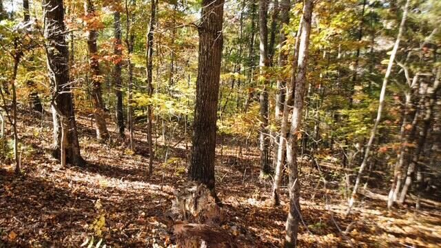 Property Photo:  36235 Perry Ridge Rd  OH 45695 