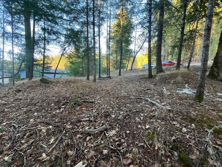 Property Photo: 25350 Madrone Place CA 95490