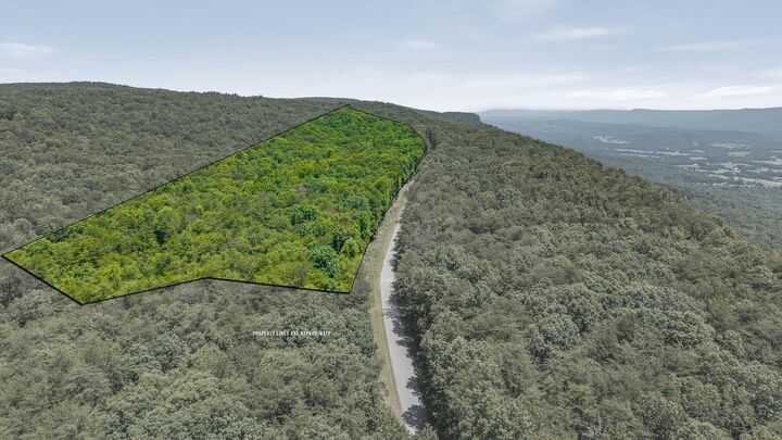 Property Photo: Lot 2 Windridge TN 37327