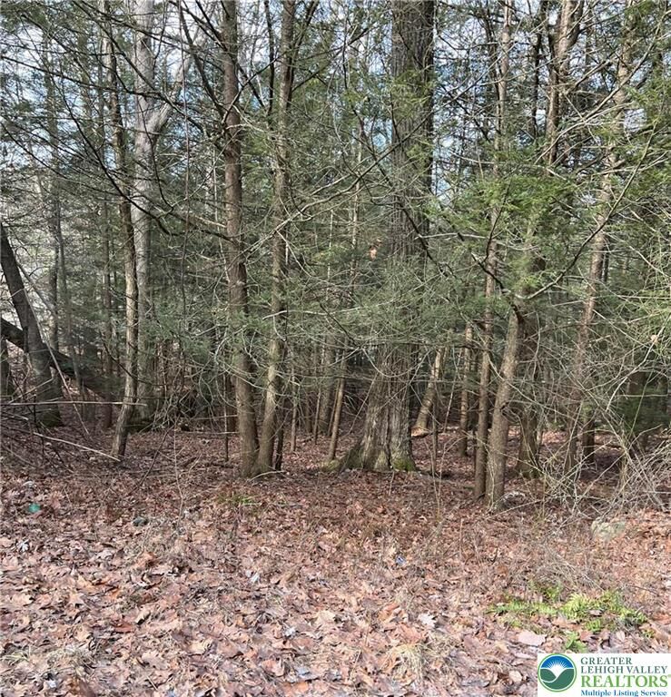 Property Photo:  2287 Locust Ridge Road 5  PA 18347 
