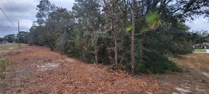 Property Photo: 9172 N Marcus Way FL 34433