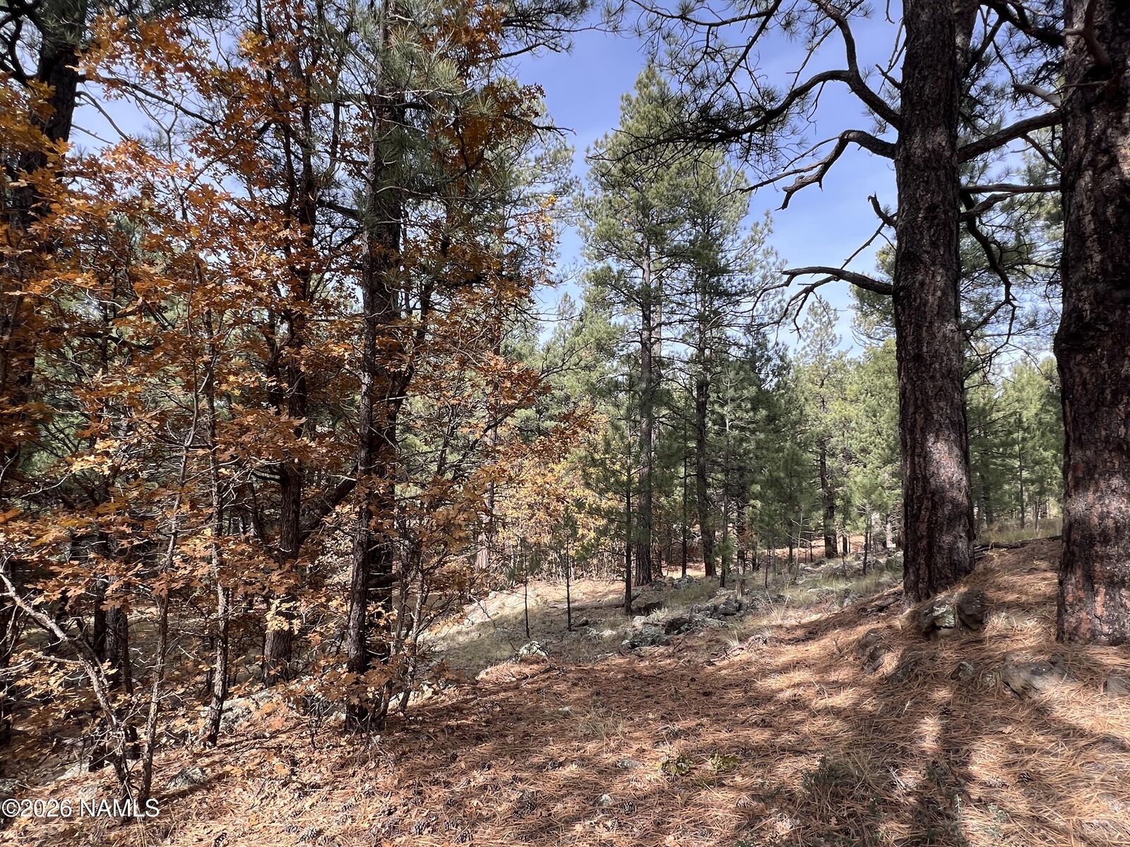 Property Photo:  1676 N Locksley Drive  AZ 86018 