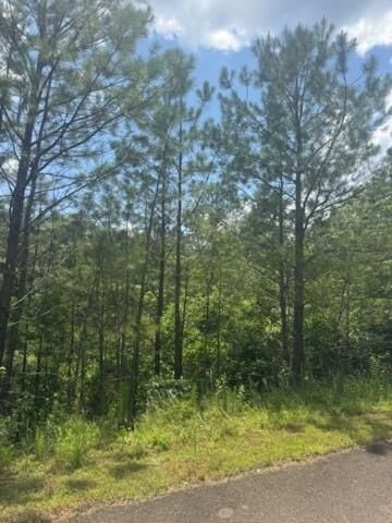 Property Photo:  Lt43&44 Reece Mountain Road  GA 30536 