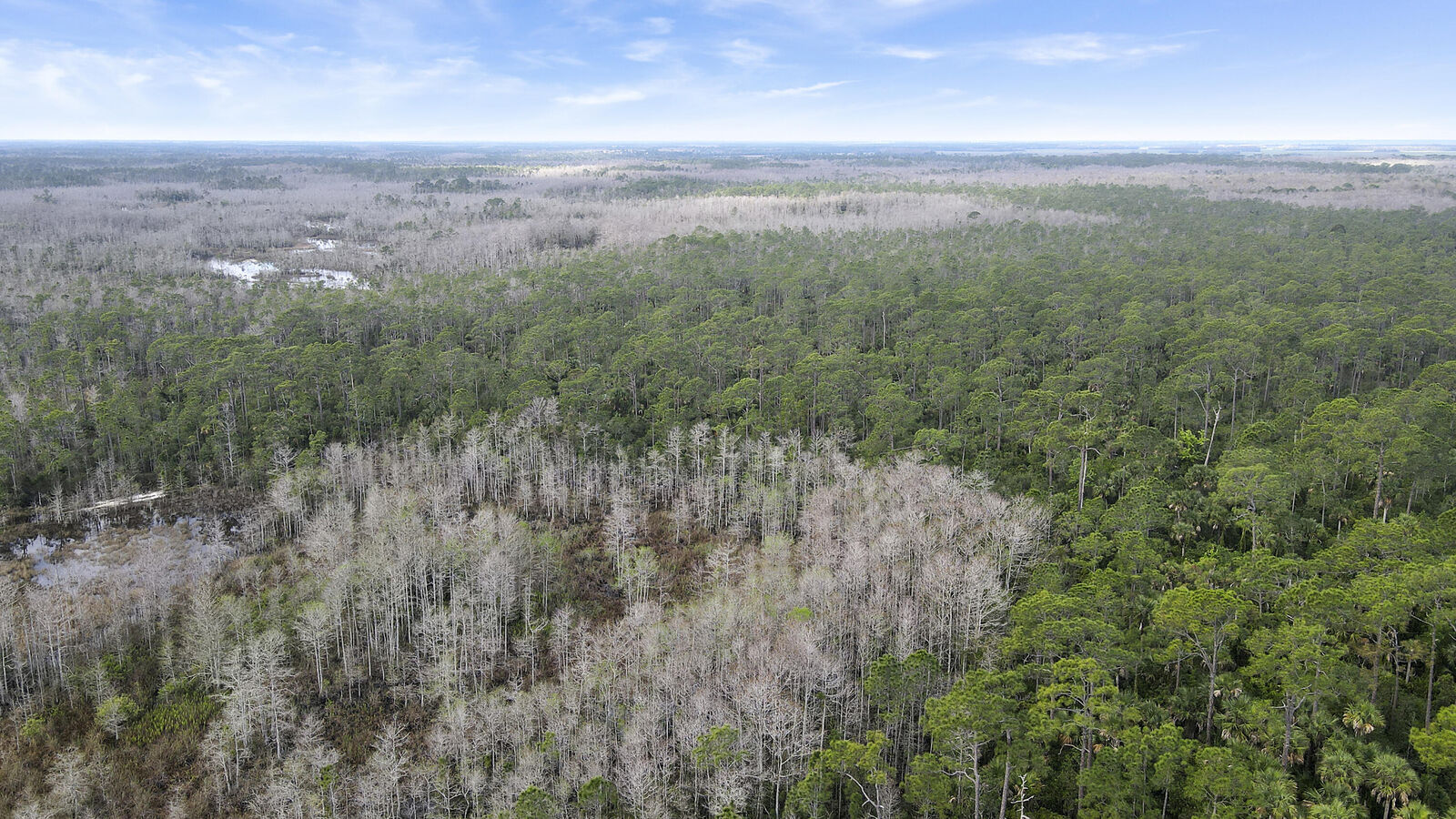 Property Photo:  11500 SW Warfield  FL 34956 