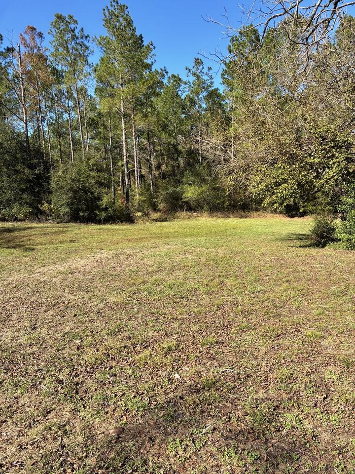 Property Photo:  0 County Road 117  AL 36311 