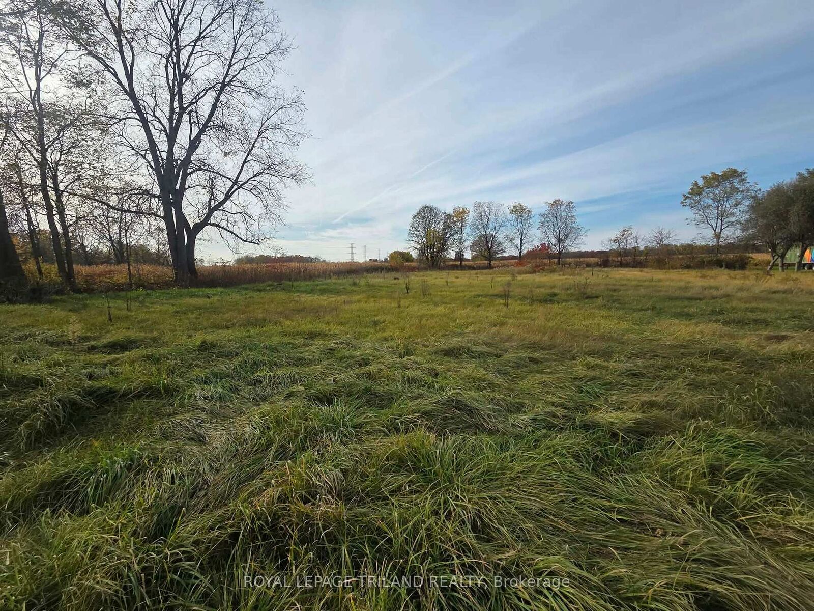 Property Photo:  Lots 28,29,30,31 Middlemiss Avenue  ON N0L 1T0 