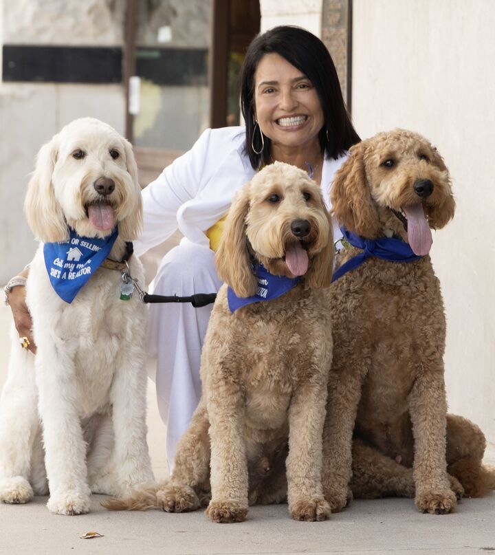 Biasnheyv Grimaldo, Real Estate Salesperson in Rogers, Harris McHaney & Faucette