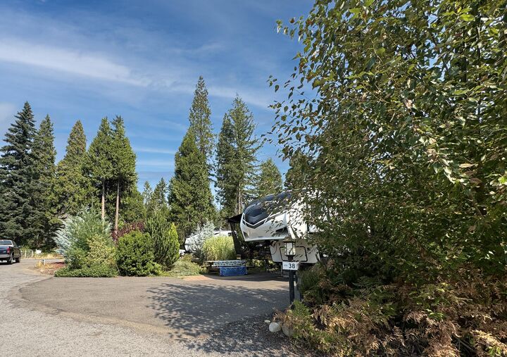 Property Photo: 54432 McKenzie Hwy 38 OR 97413