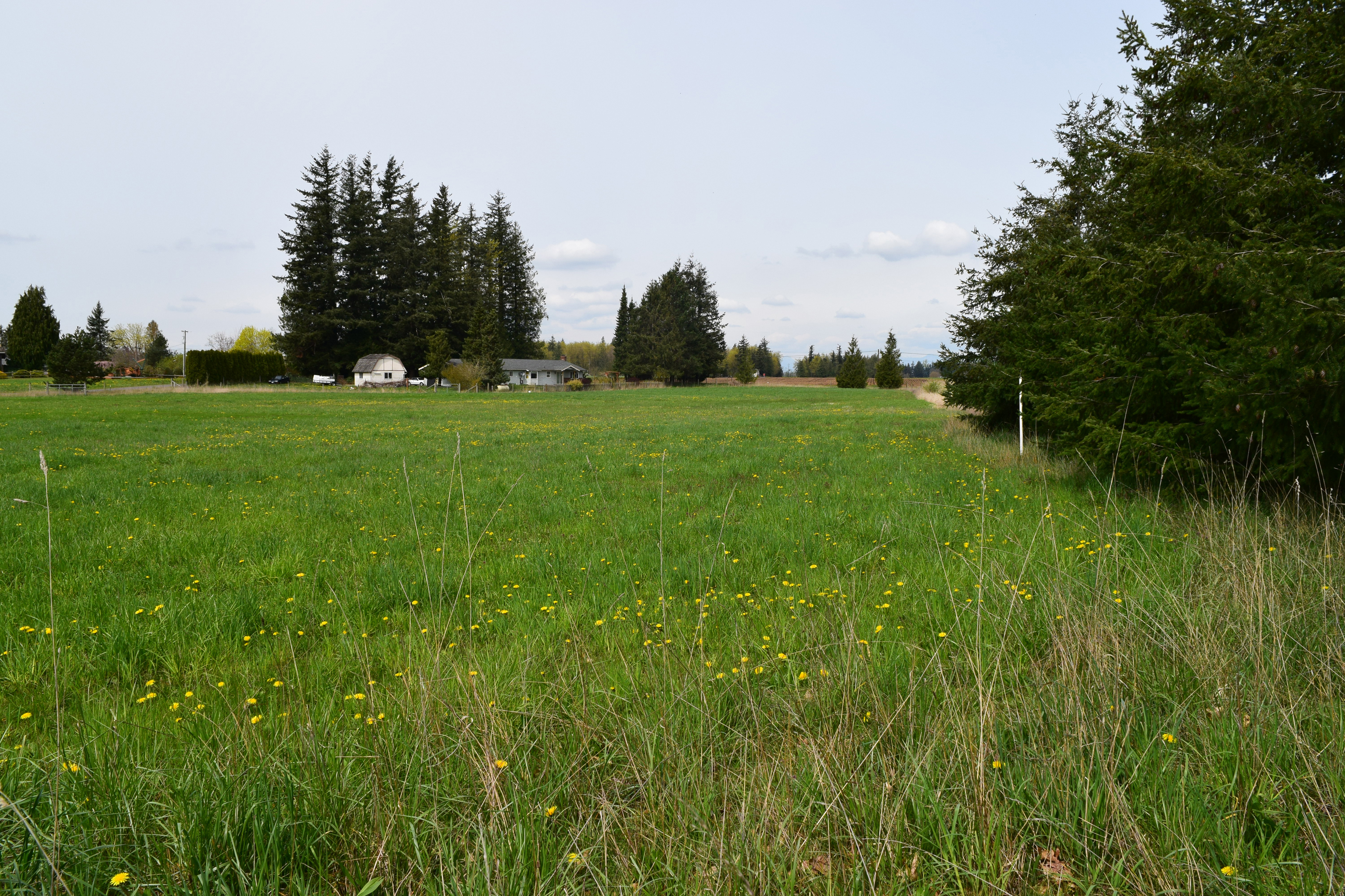 Property Photo: Property Views 6488 Courtney Lane WA 98247
