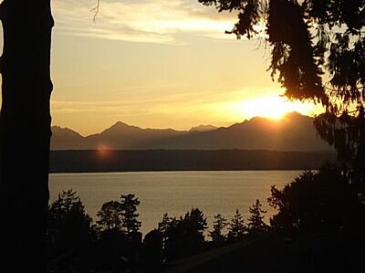 Property Photo: View 20235 20th Ave NW WA 98177