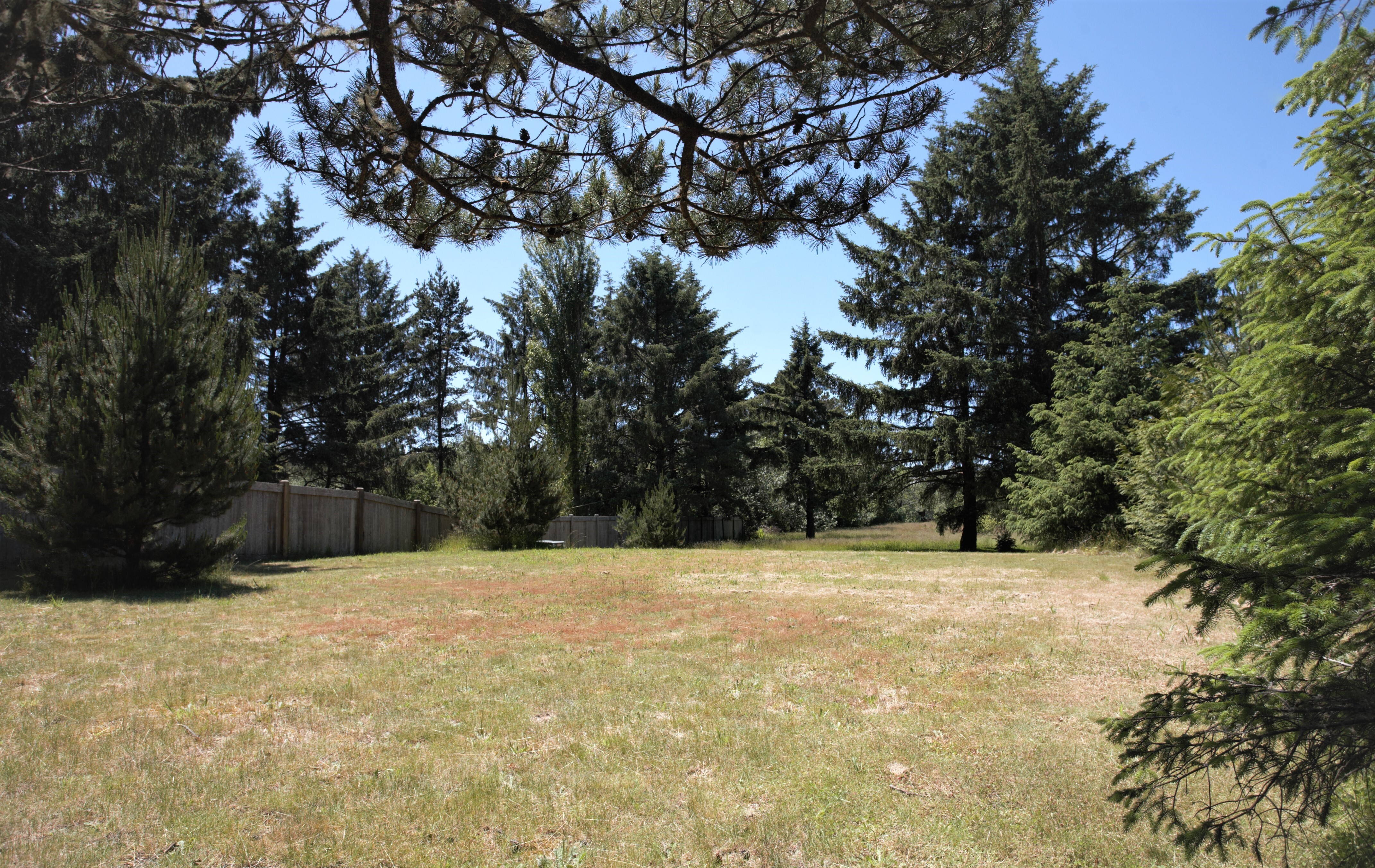 Property Photo: 807 Salmonberry Lane WA 98547