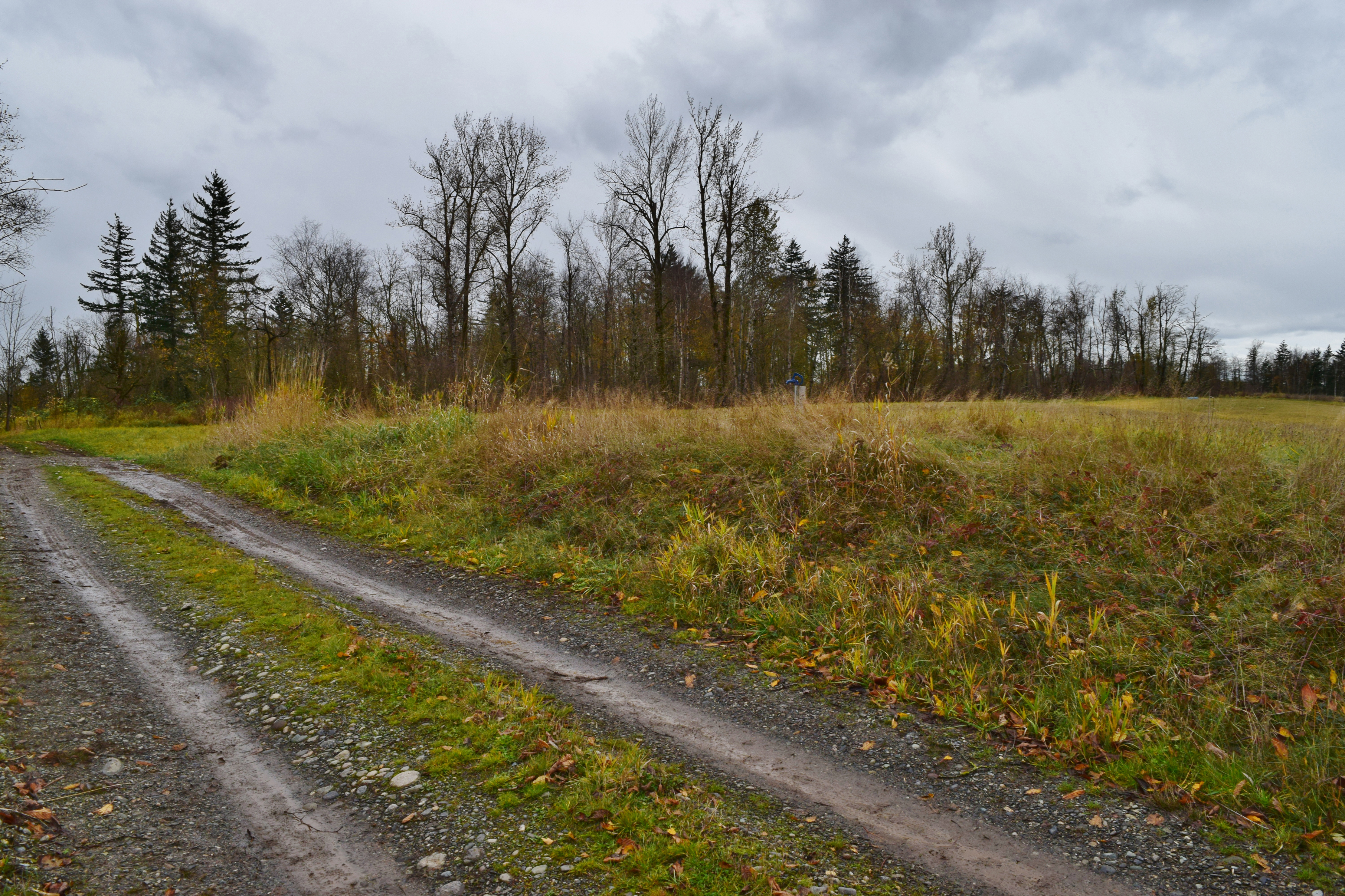 Property Photo: Access Road 2748 E Badger Rd WA 98247