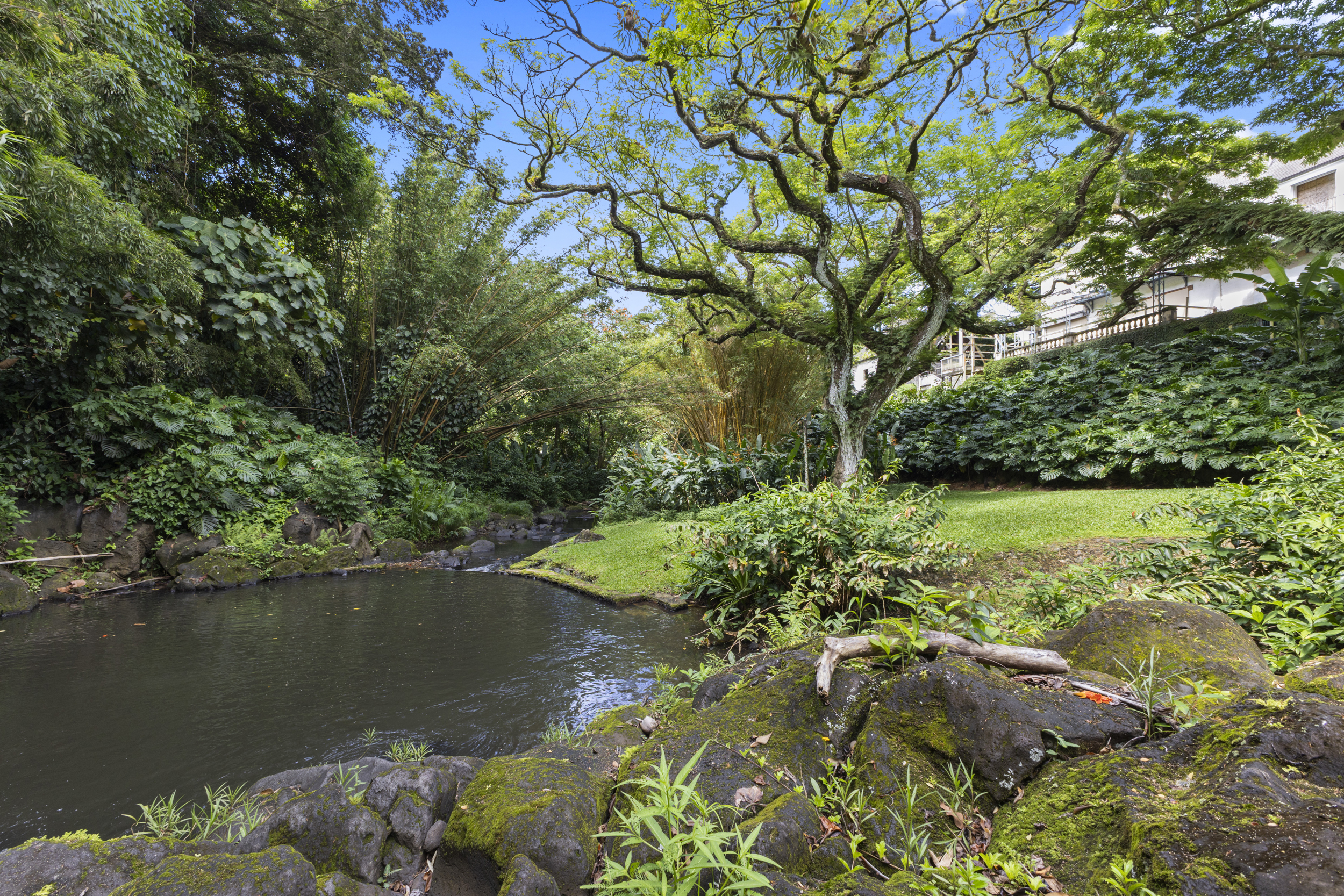 187 Dowsett Avenue  Honolulu HI 96817 photo