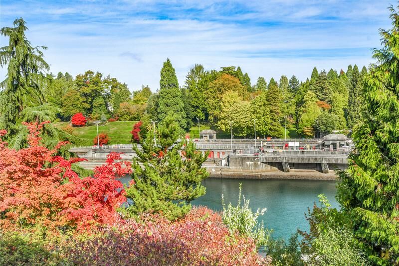 Property Photo:  3200 W Commodore Way 207  WA 98199