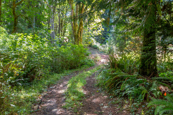 Property Photo: Tani creek 3310 NE Tani Creek Rd WA 98110