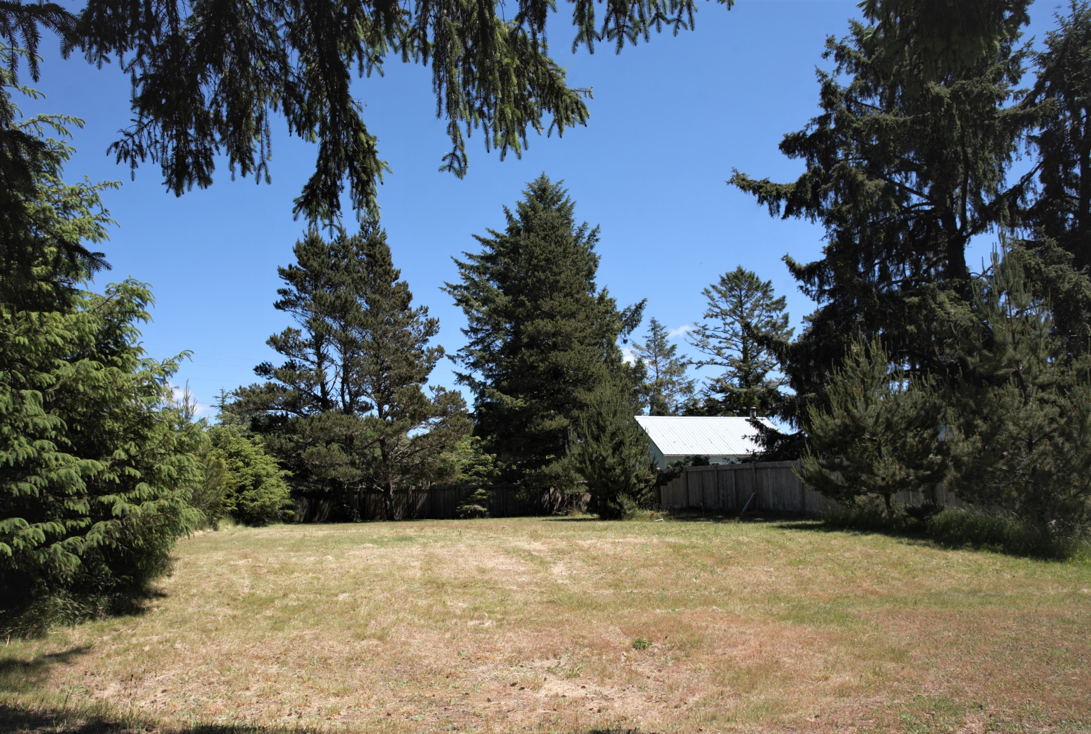 Property Photo: 807 Salmonberry Lane WA 98547